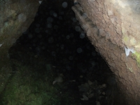 otta monte Cicirello-10042012 067